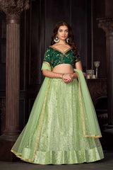 Pista Net Embroidery Round Neck Lehenga