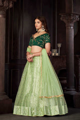 Pista Net Embroidery Round Neck Lehenga