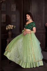 Pista Net Embroidery Round Neck Lehenga