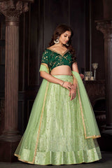 Pista Net Embroidery Round Neck Lehenga