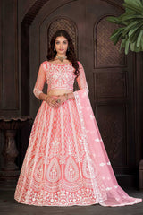 Peach Net Embroidery Round Neck Lehenga