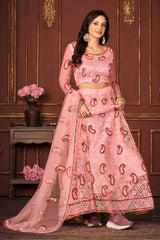 Peach Net Embroidery Round Neck Lehenga