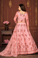 Peach Net Embroidery Round Neck Lehenga