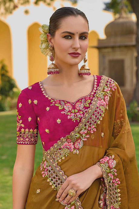 Brown Organza Embroidered Saree