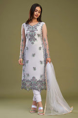 Light grey net embroidered straight fit salwar suit
