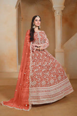 Red Embroidered Net Salwar Suit