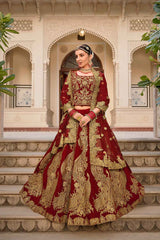 Red Embroidered Velvet Lehenga Set