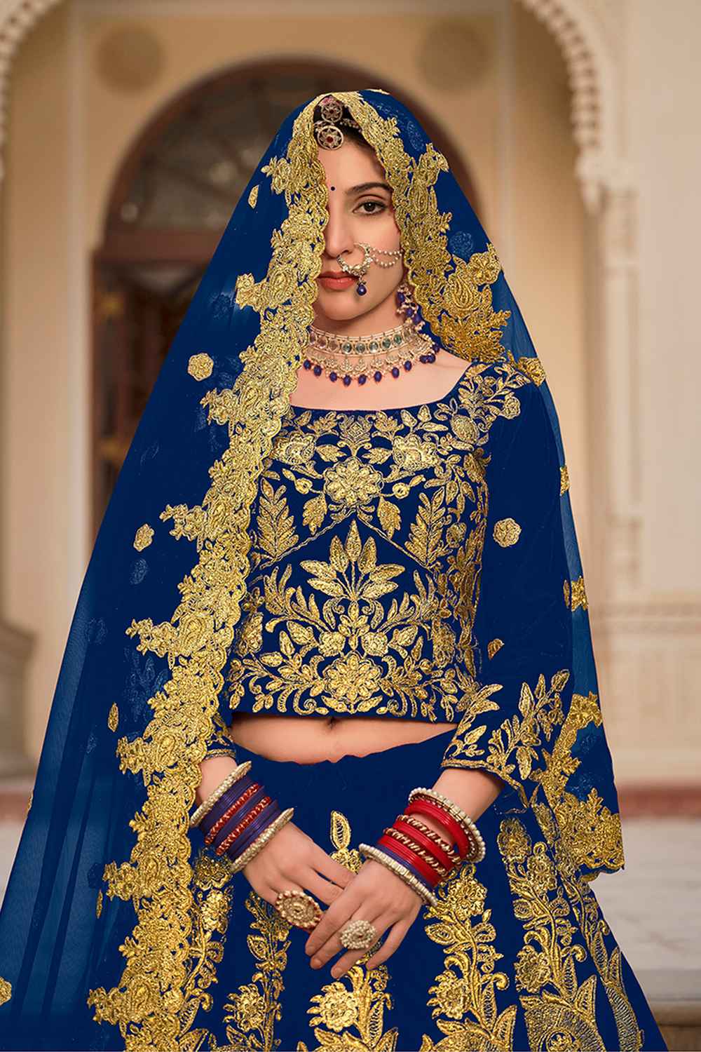 Blue Embroidered Velvet Lehenga Set