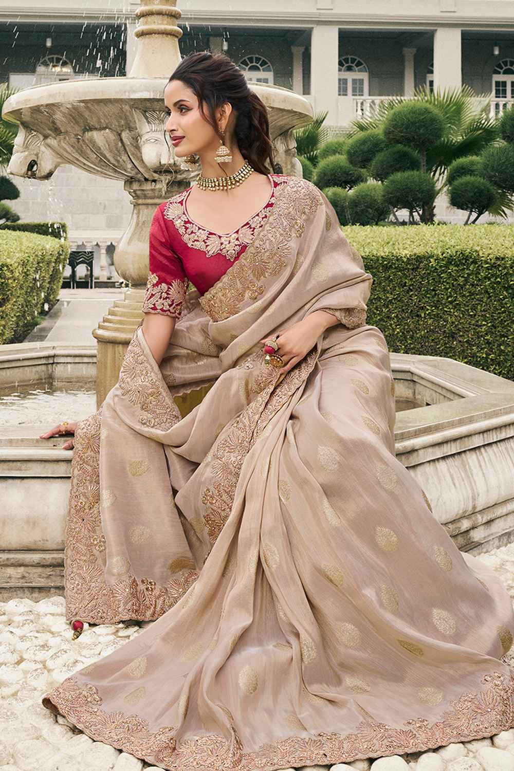 Beige Tissue Embroidered Saree