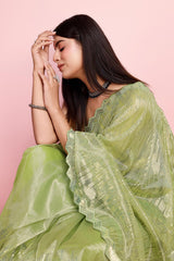 Pista Net Embroidered Saree