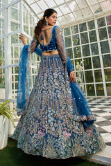 Blue Embroidered Net Lehenga