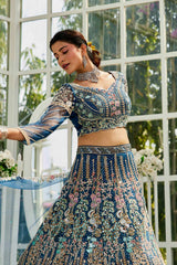 Blue Embroidered Net Lehenga