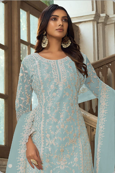 Women's Sky-blue Net Embroidered Dori Salwar Kameez Suit Set