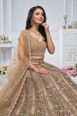 Brown Net Embroidered Lehenga Set