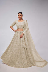 Ivory Soft Net Embroidered Lehenga Set