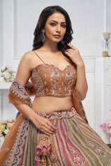 Brown Net Embroidered Lehenga Set