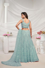 Sky Blue Soft Net Embroidered Lehenga Set