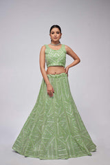 Green Soft Net Embroidered Lehenga Set