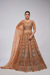 Rust Soft Net Embroidered Lehenga Set