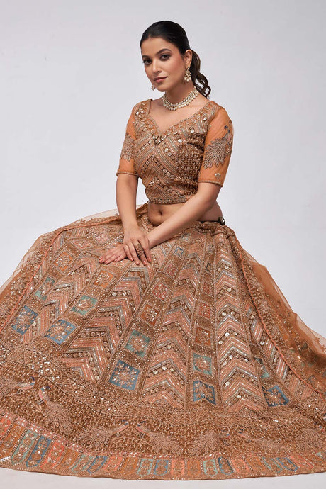 Rust Soft Net Embroidered Lehenga Set