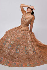 Rust Soft Net Embroidered Lehenga Set