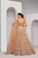 Rust Soft Net Embroidered Lehenga Set