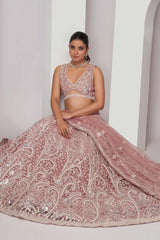 Chiku Soft Net Embroidered Lehenga Set