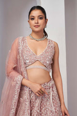 Chiku Soft Net Embroidered Lehenga Set