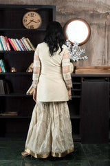 Beige Embroidered Net Straight Cut Kurta