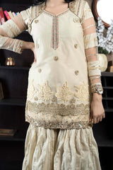 Beige Embroidered Net Straight Cut Kurti