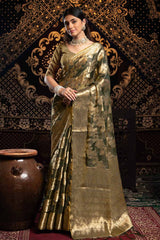 Grey Zari Velvet Saree