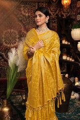 Yellow Zari Velvet Saree