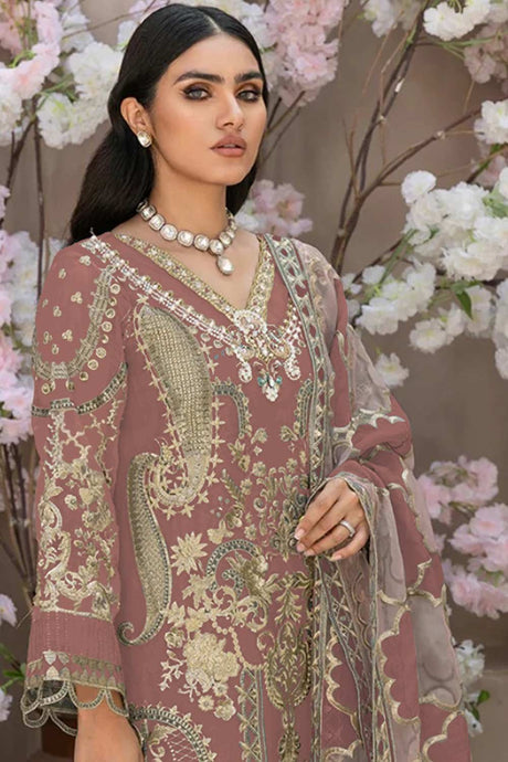 Beige Embroidered Organza Pakistani Salwar Suit