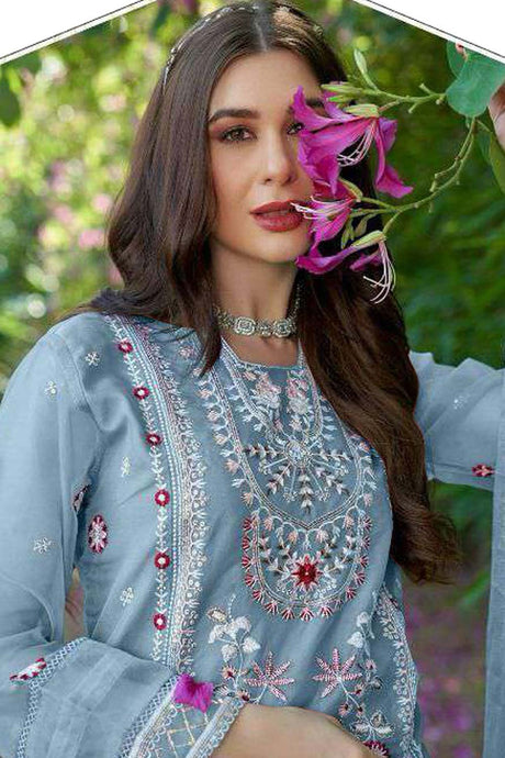 Sky Embroidered Organza Pakistani Salwar Suit