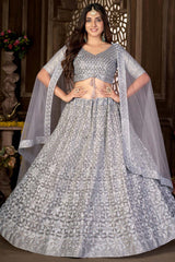 Grey Net Embroidered V Neck Choli Lehenga Choli