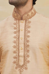 Buy Men's Art Dupion Silk Embroidered Kurta Set in Light Brown Online - Back