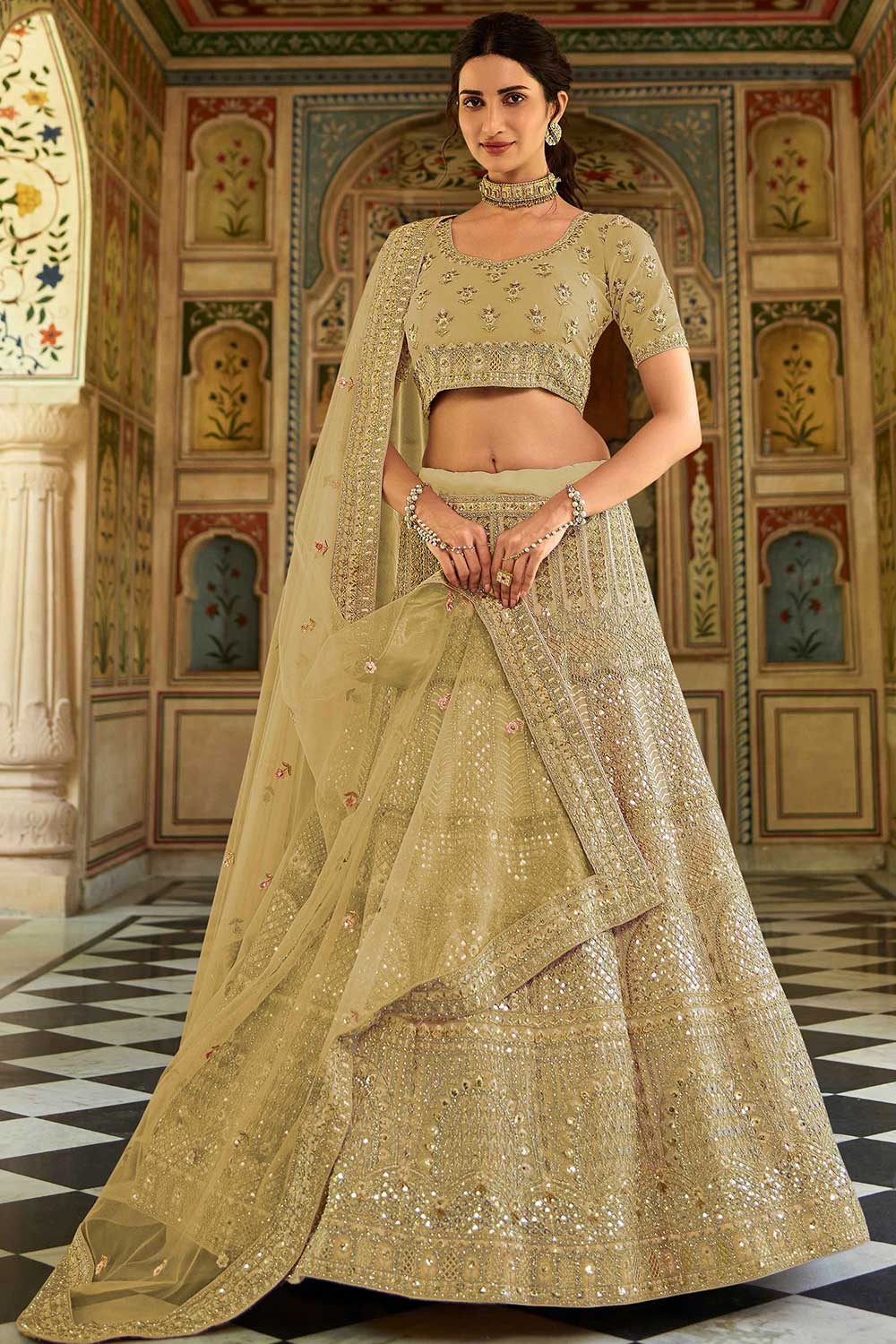 Dark-Beige Organza Embroidered Lehenga Choli