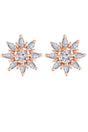 Buy Women's Alloy Floral Studs Earring in Rose Gold