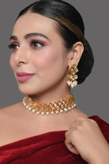 Pearl Beaded Kundan Choker With Earrings