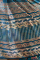 Blue Manipuri Silk Kalamkari Digital Print Pochampally Saree