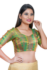 Indian Saree Blouses