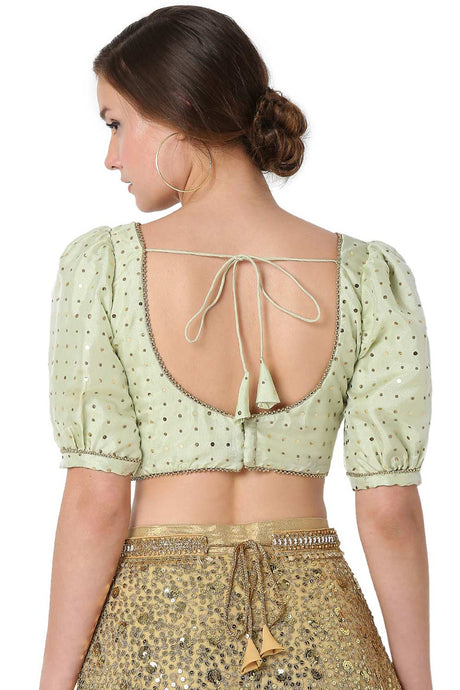 Pastel Green Orgenza Embroidered Readymade Saree Blouse