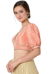Baby Pink Orgenza Embroidered Readymade Saree Blouse