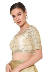 Beige Silk Blend Embroidered Readymade Saree Blouse